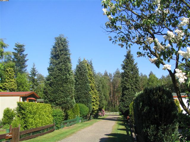 zo maar een laantje.jpg